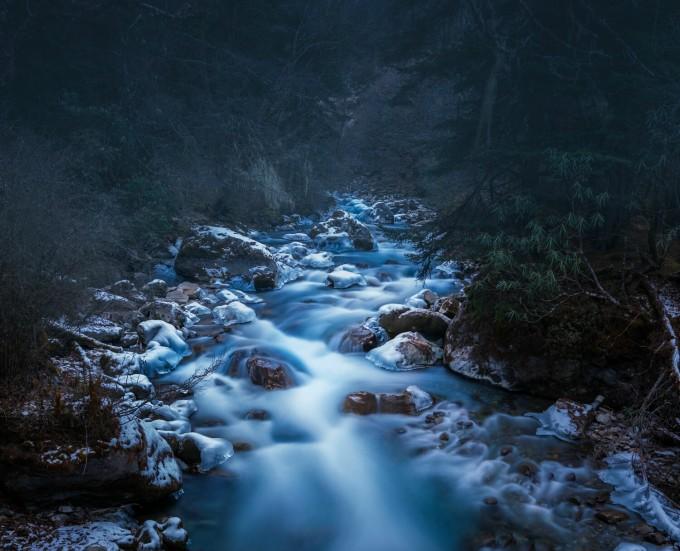 拯救机灵鸟