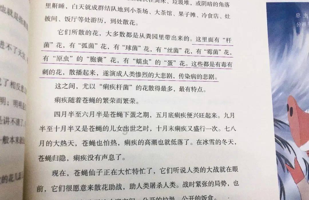 鸣人传