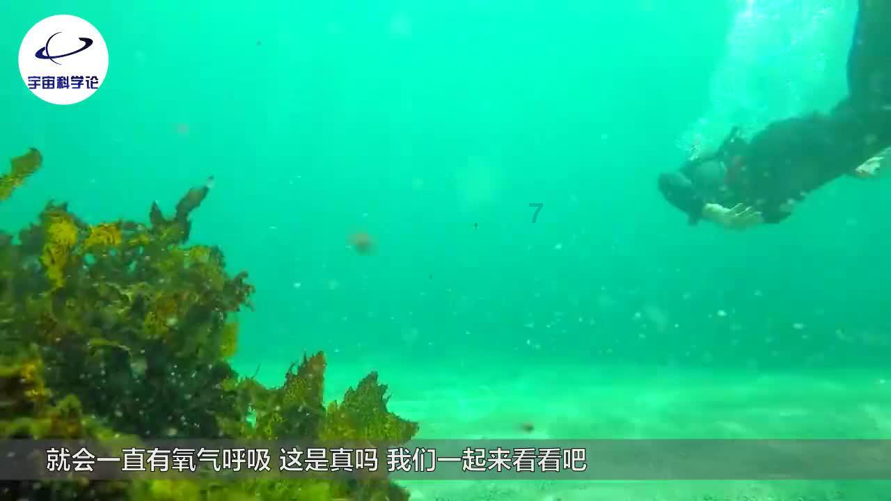 4399特战英雄