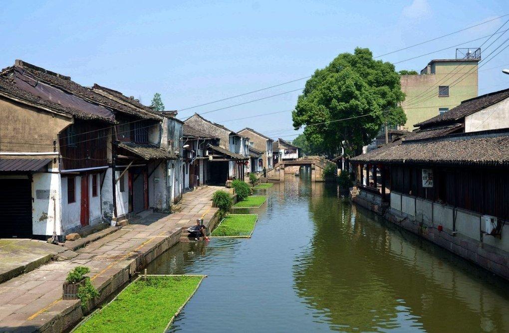 【第一书记代言】柳河县干河子村——干河子苹果